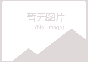 象山区凌乱工程有限公司